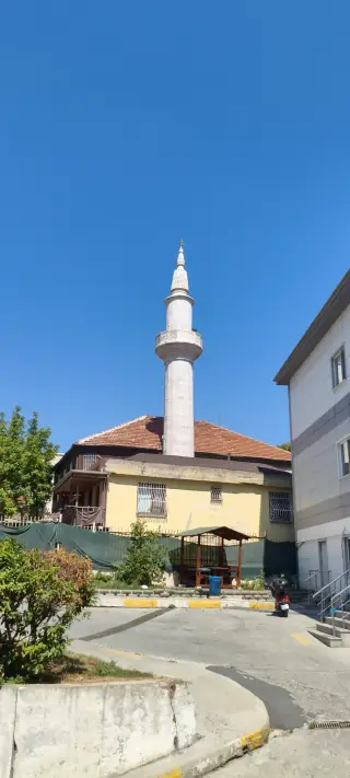 Fasuli Cerrahpaşa