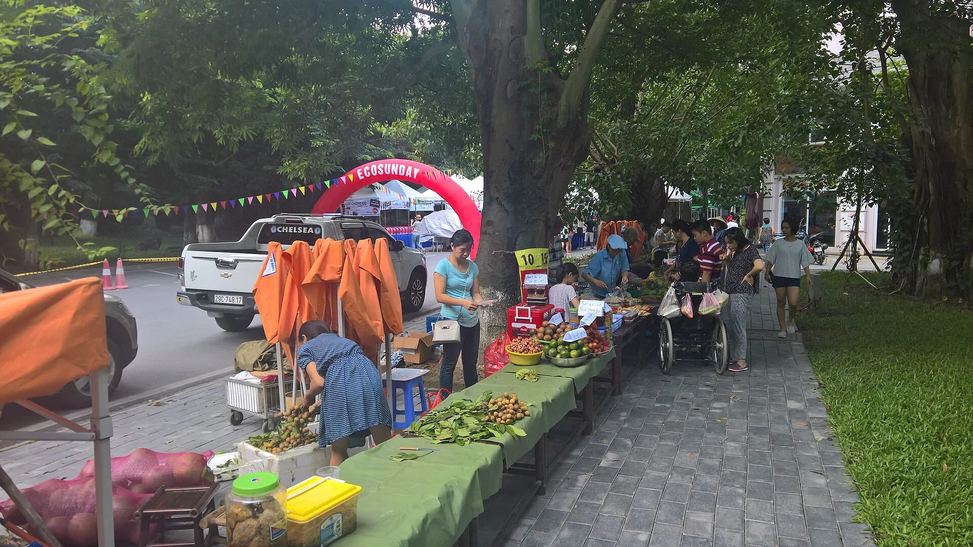 Truong Pt Đoan Thi Điem-Ecopark
