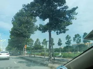 Hớt Tóc Khánh