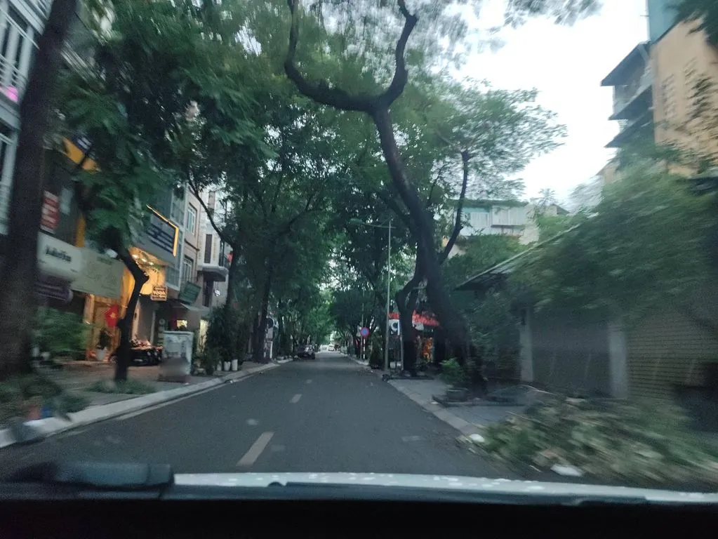 tiệm gốm daswarenhaus
