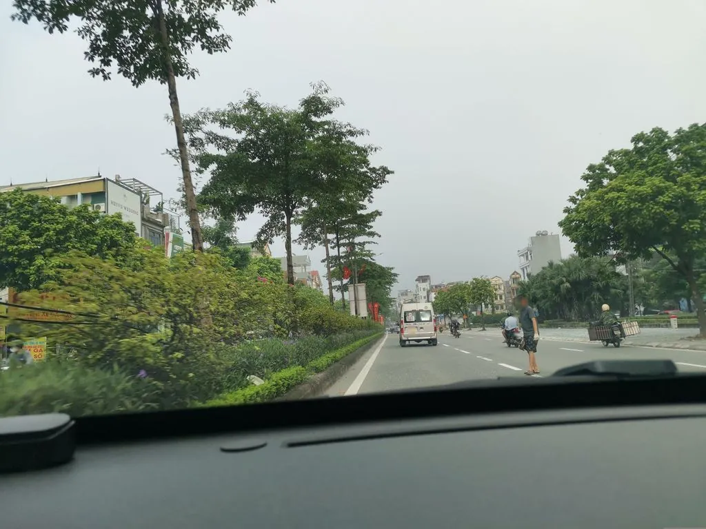 Sàn gỗ 1st Floor Đại Mộc