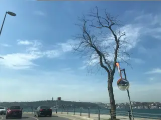1401 Food & Drink Çubuklu