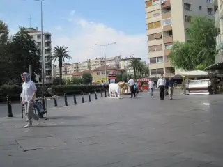 Alsancak/İzmir