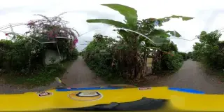 Cắm trại Hà Nội/Hidden Gem Garden