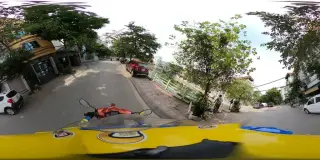 Cẩm Hường