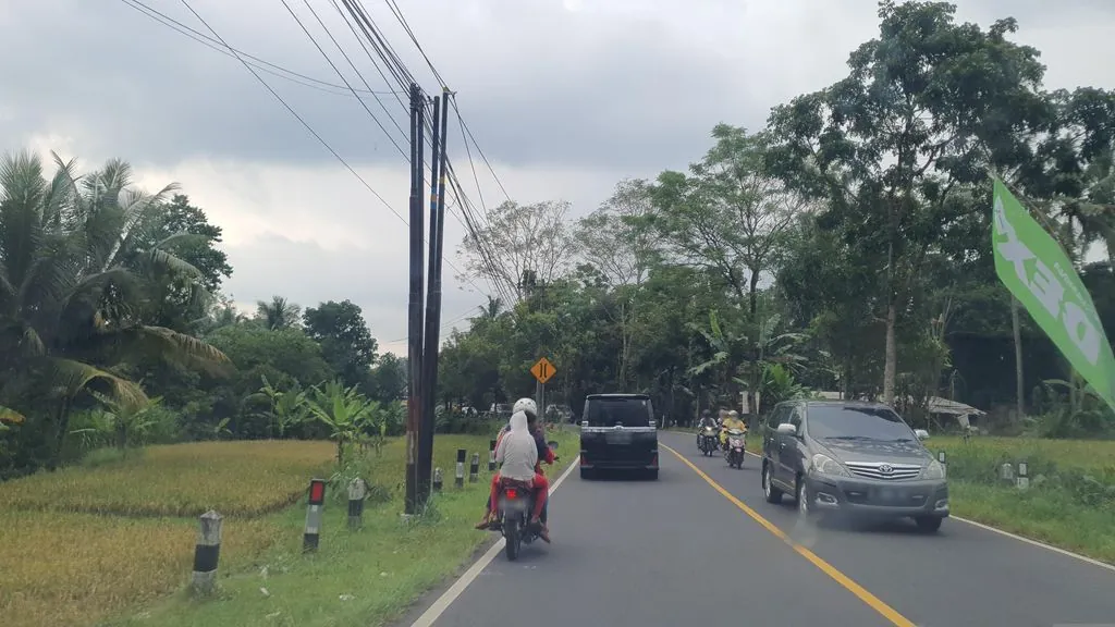 Area Sawah Harjobinangun
