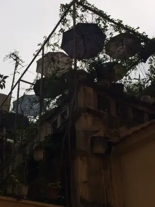 Lujio - Hoa lụa & Decor cao cấp