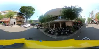 Chinlike