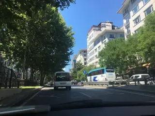 Turob
