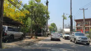 Tangcha