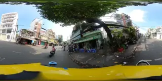 Mèo - Trà Sữa