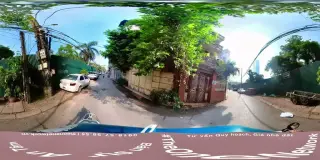 Gà 36 Đào Tấn