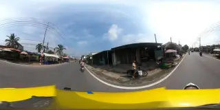 Thế Giới Vật Phẩm Phong Thuỷ - Hoa & Cây Cảnh
