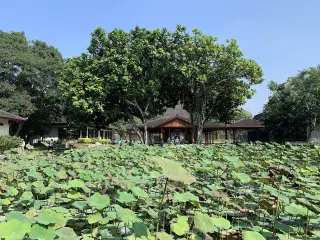Indomaret Borobudur