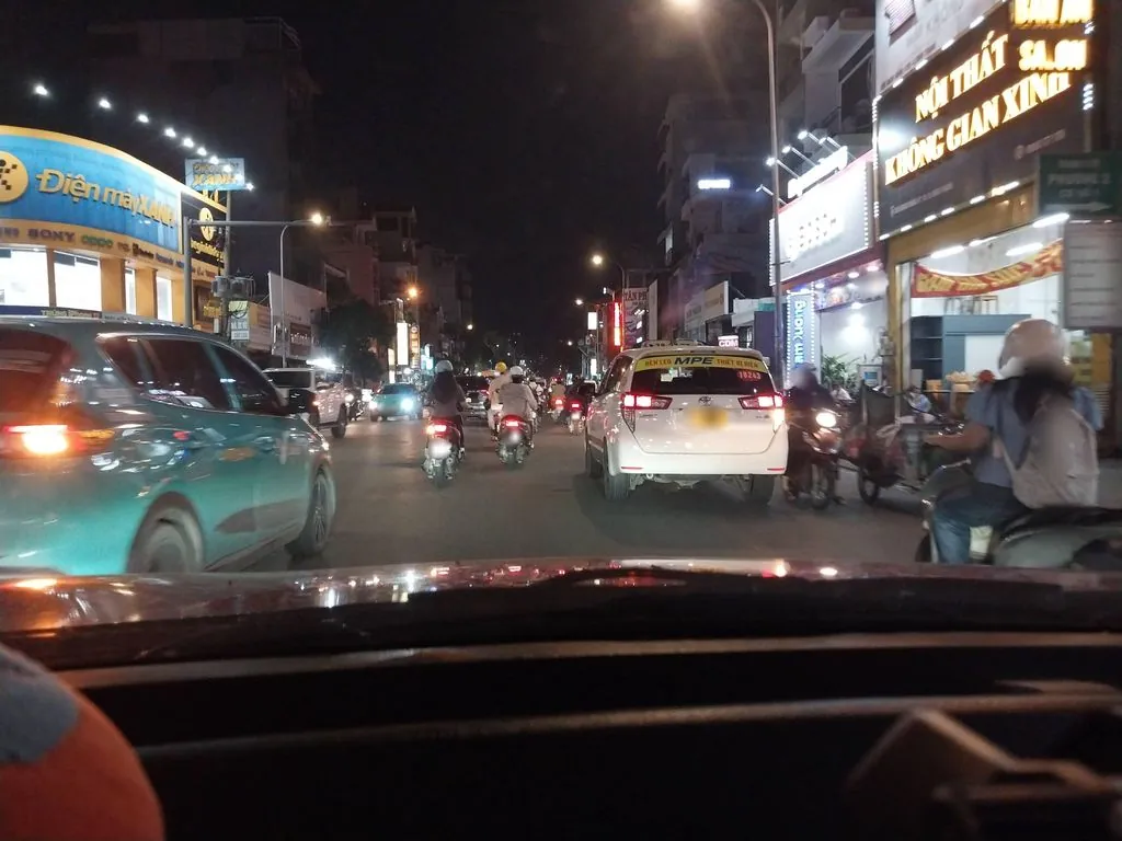 D'mestik Việt Nam