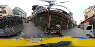 Đồ Gỗ Phong Thuỷ
