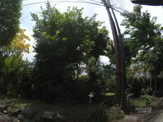 Psikologi Hang Tuah