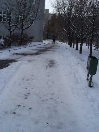 Hacettepe Üniversitesi Biyoloji Bölümü