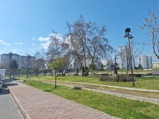 Strada Tours Antalya
