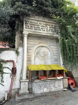 Beşiktaş Serencebey
