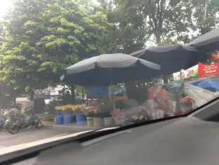 To Son Bắc Ninh