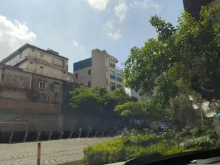 Vòng Dâu Tằm
