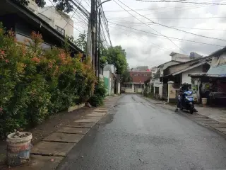 Palm Villas