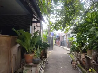 Mie Ayam Dan Bakso Mas Jangkung