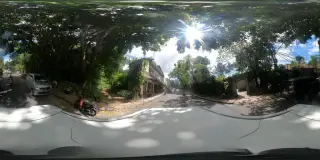 Roots