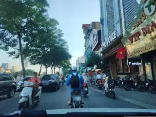 Hoàng Anh Nối Mi
