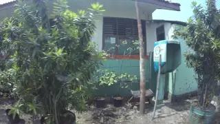 SD Negeri Benda Baru 02