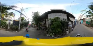SƠN Trang TrÍ