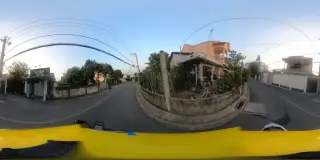Hoa Tươi Hải Uyên
