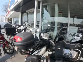 Dündar Veteriner Kliniği