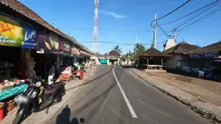 geria cau wisesa manuaba