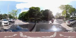 Ưu Đàm Trà Hoa