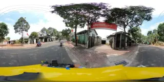Sinh TỐ DỪA