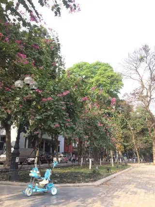 Vườn Phố Cafe & Restaurant