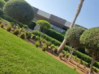 Aquario