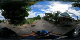 JJ Forpus
