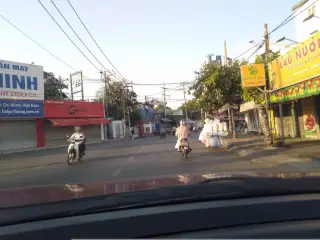 Hoa Tui Trồng