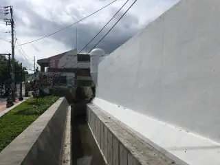 Reiki Tummo&Membuka Hati  Padmajaya Yogyakarta
