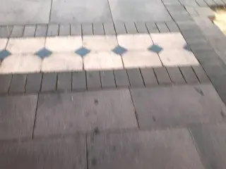 Fresh Chicken King