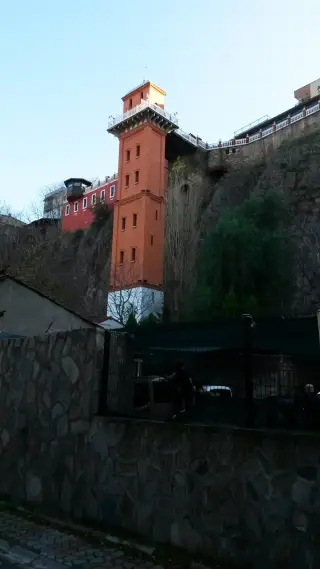 Asansör Petshop