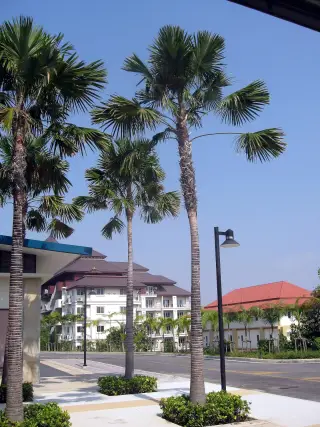 Grand Solaire Pattaya — photo 2