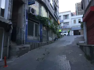 Antik Et Balık