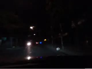 GỎI CÁ HP