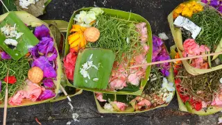Bali Scooter Rental
