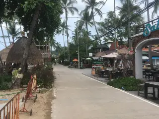 Elephant Walk  Art Garden Fisherman  Village.