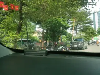 Mai  Cúc Phương